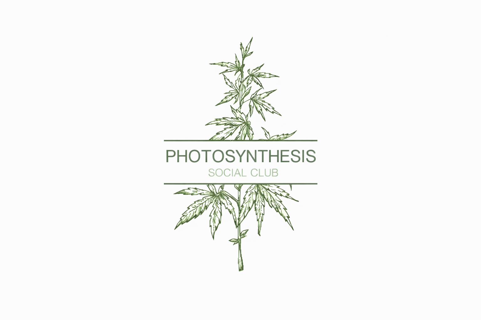 Photosynthesis Social club – Top Cannabis Social Club in Tenerife | HIGHGRADE Photosynthesis Social club cannabis social club Barcelona Spain – best cannabis club Barcelona 2026