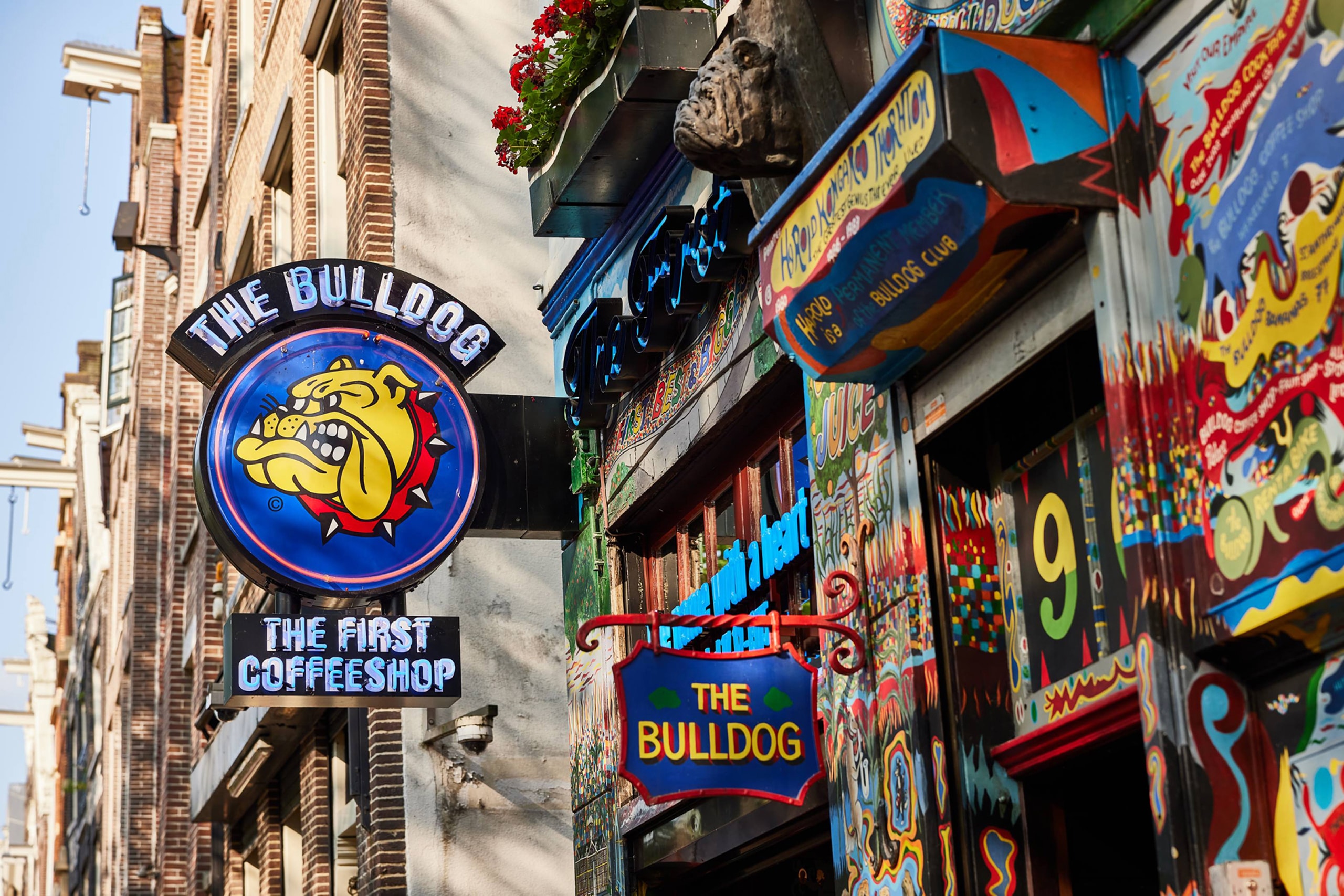 The Bulldog The First Coffeeshop Centrum Amsterdam coffeeshop