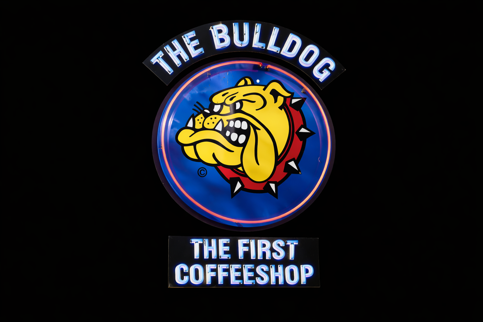 The Bulldog The First Coffeeshop Coffeeshop